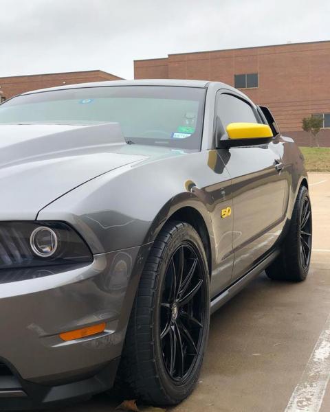 Make your Mustang stand out! Give us a call. 